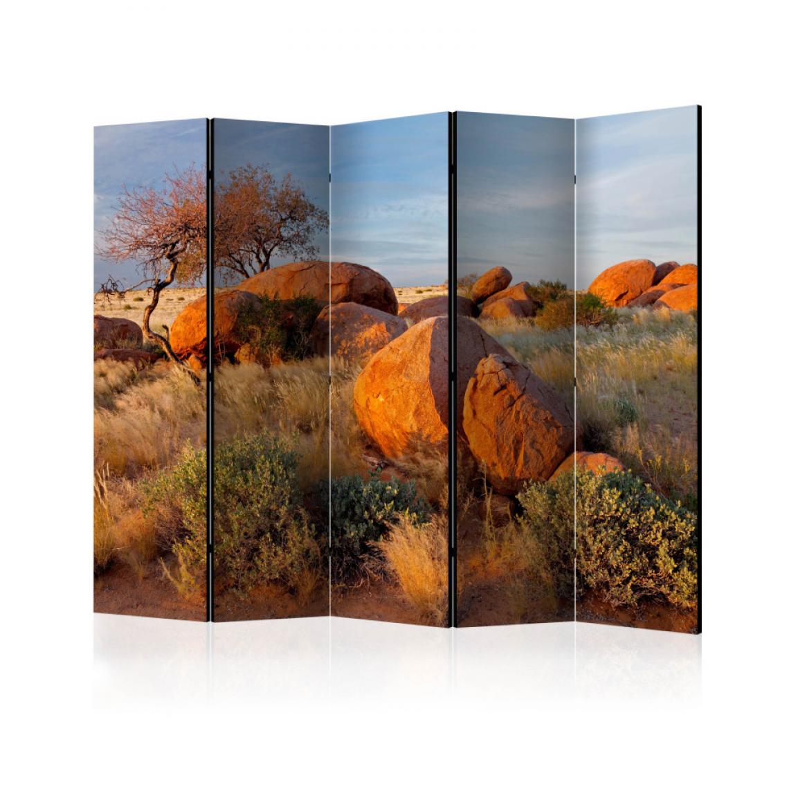 Artgeist - Paravent 5 volets - African landscape, Namibia II [Room Dividers] 225x172 - Paravents