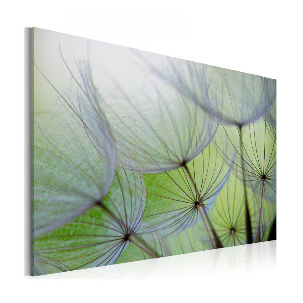 Artgeist - Tableau - Dandelion in the wind 120x80 - Tableaux, peintures