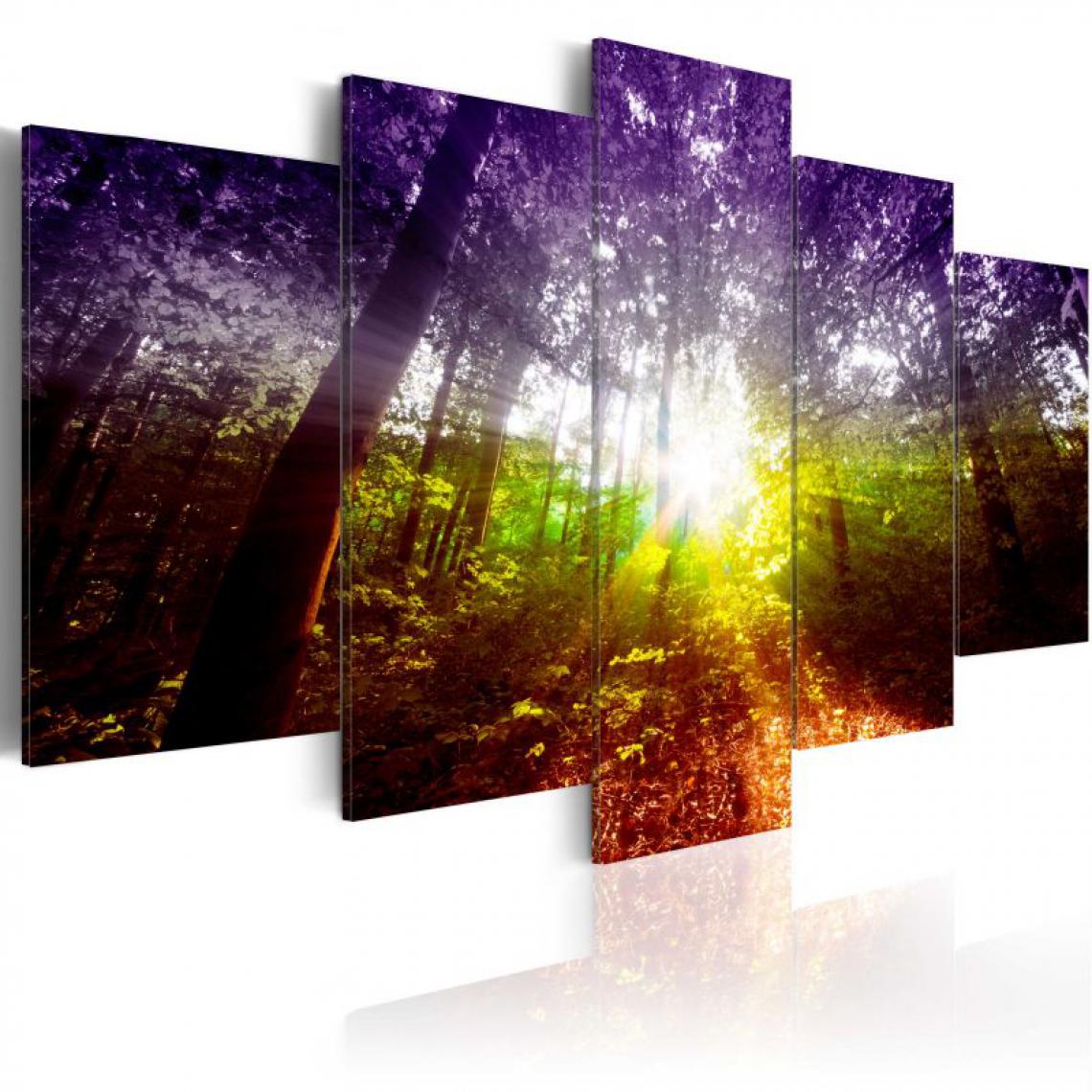 Artgeist - Tableau - Rainbow Forest .Taille : 100x50 - Tableaux, peintures