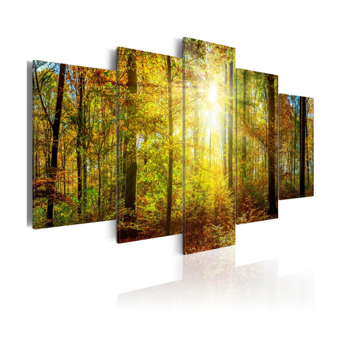 Artgeist - Tableau - Mystical Forest 200x100 - Tableaux, peintures
