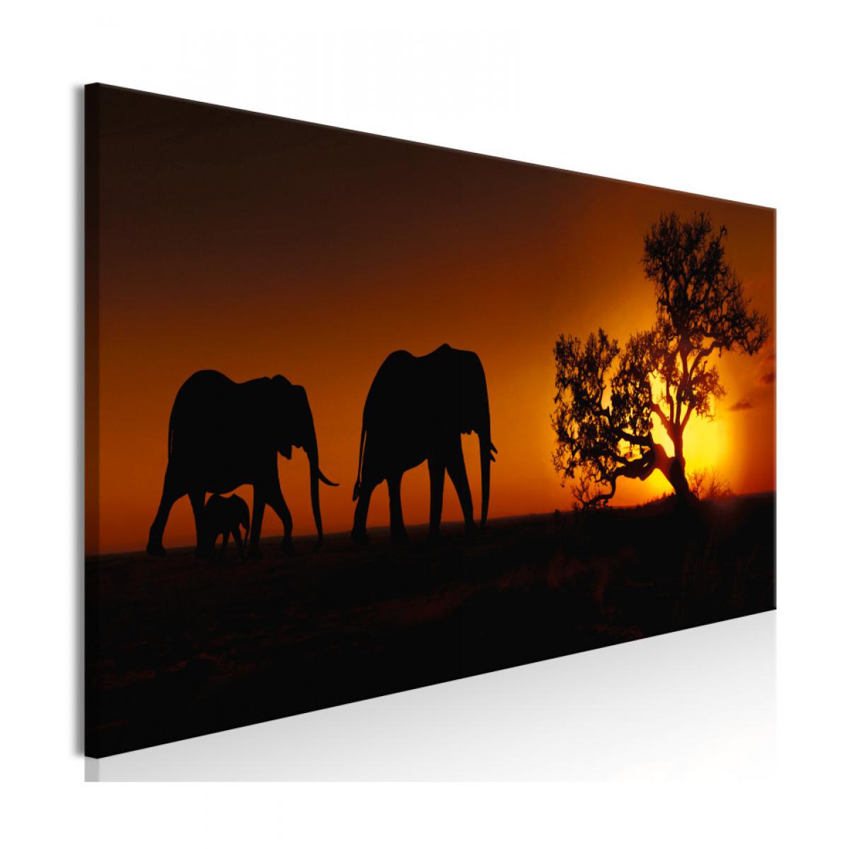 Artgeist - Tableau - Elephant Family (Orange) 120x40 - Tableaux, peintures