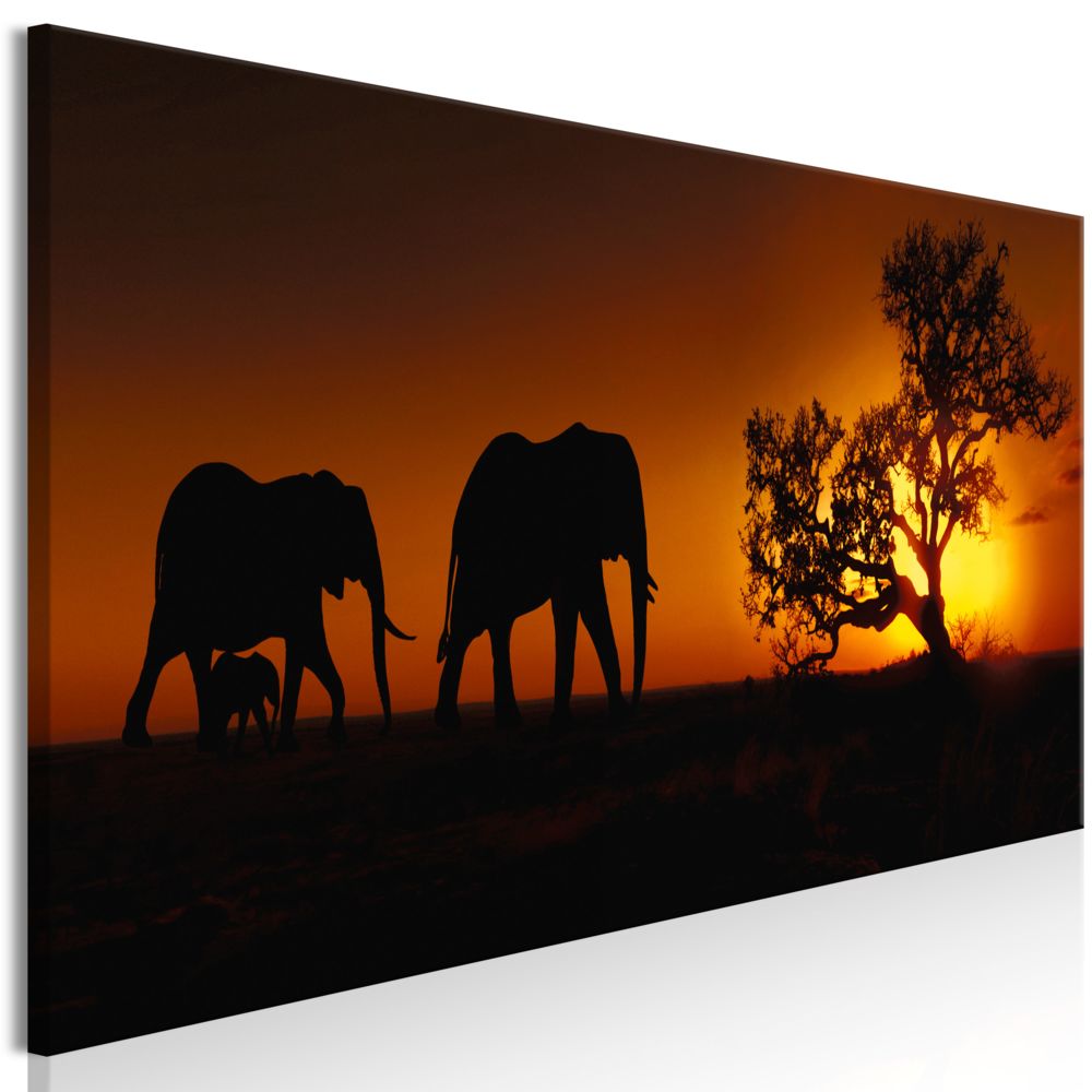 Bimago - Tableau - Elephant Family (Orange) - Décoration, image, art | Animaux | Éléphants | - Tableaux, peintures