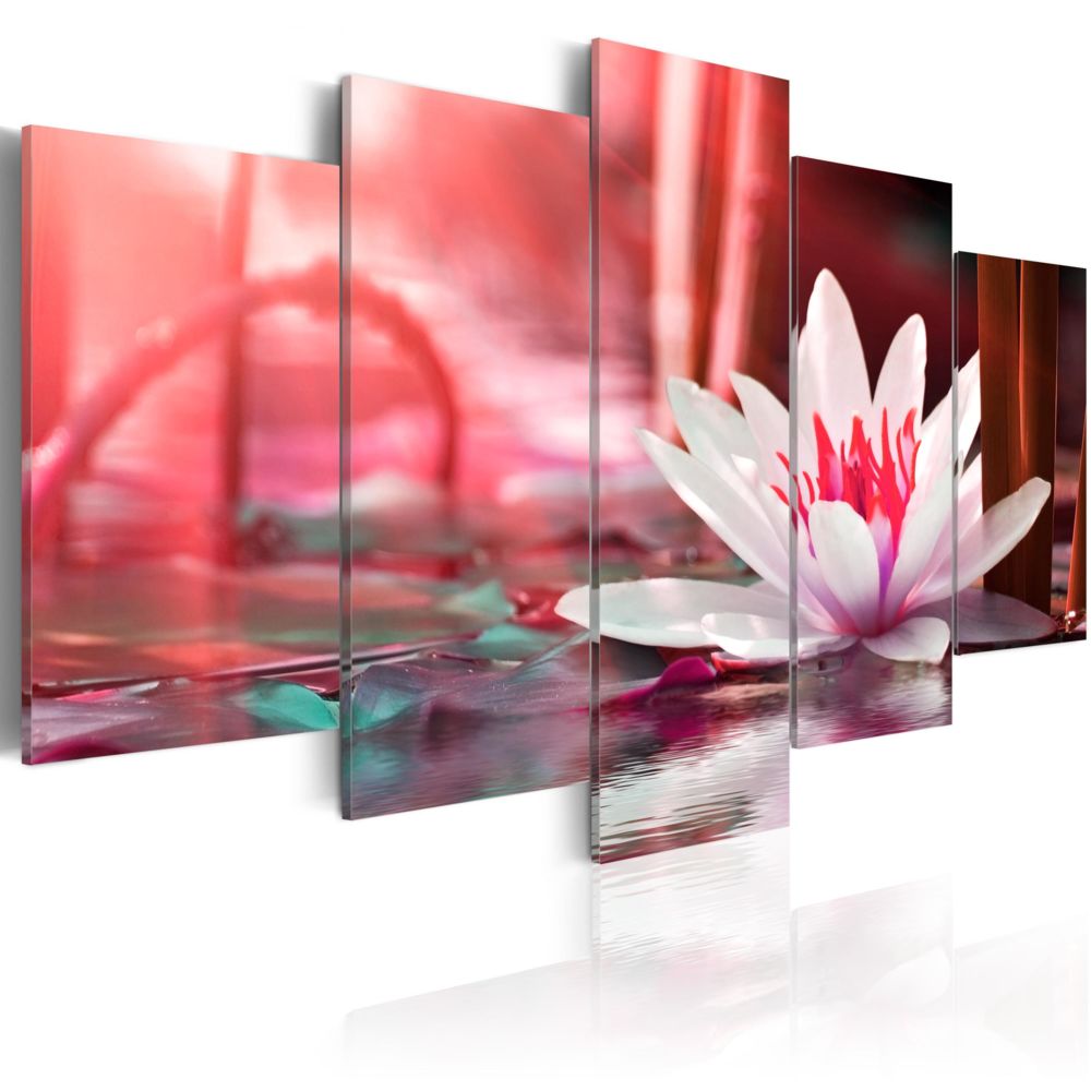 Bimago - Tableau - Amaranthine Lotus - Décoration, image, art | Fleurs variées | - Tableaux, peintures