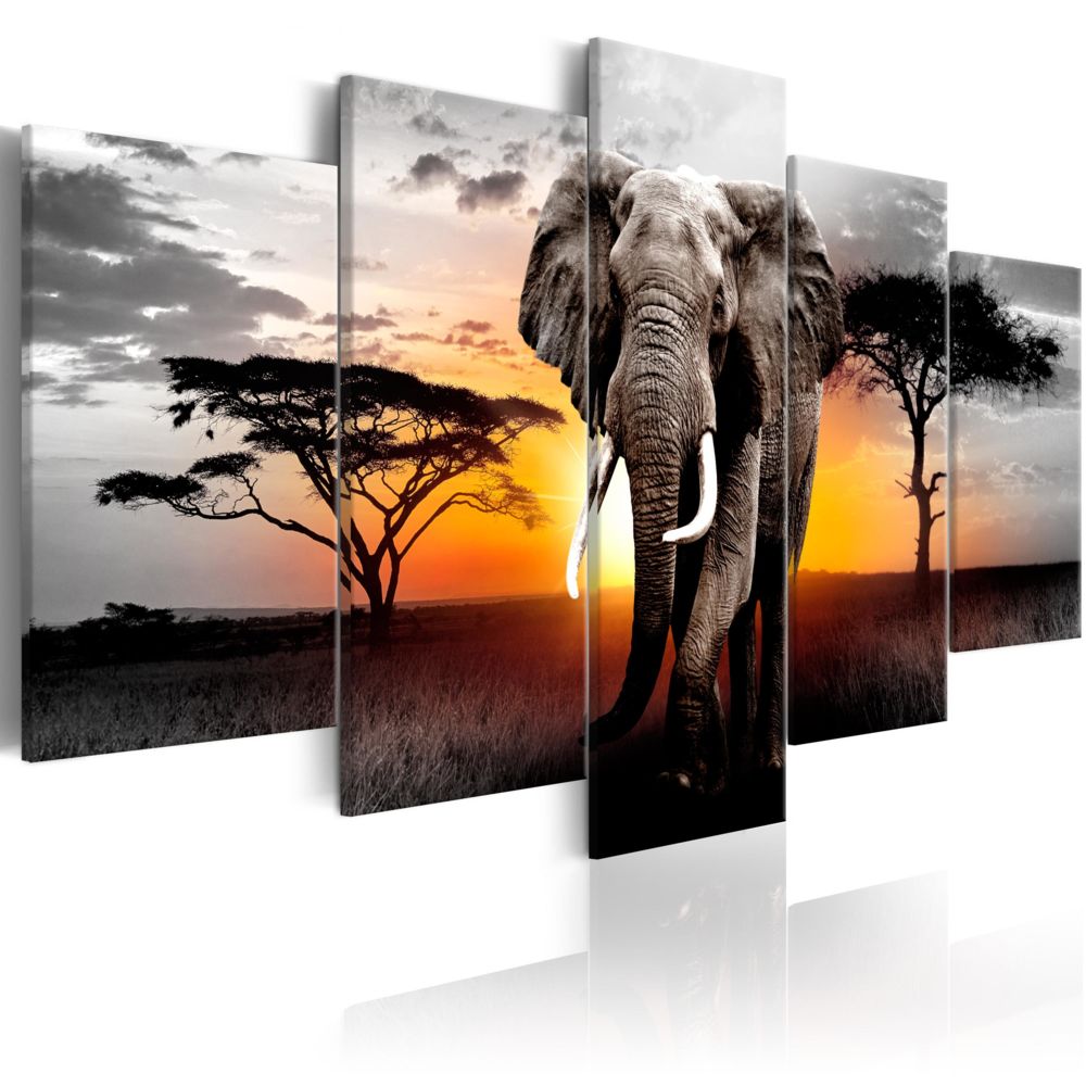 Bimago - Tableau - Elephant at Sunset - Décoration, image, art | Animaux | Éléphants | - Tableaux, peintures