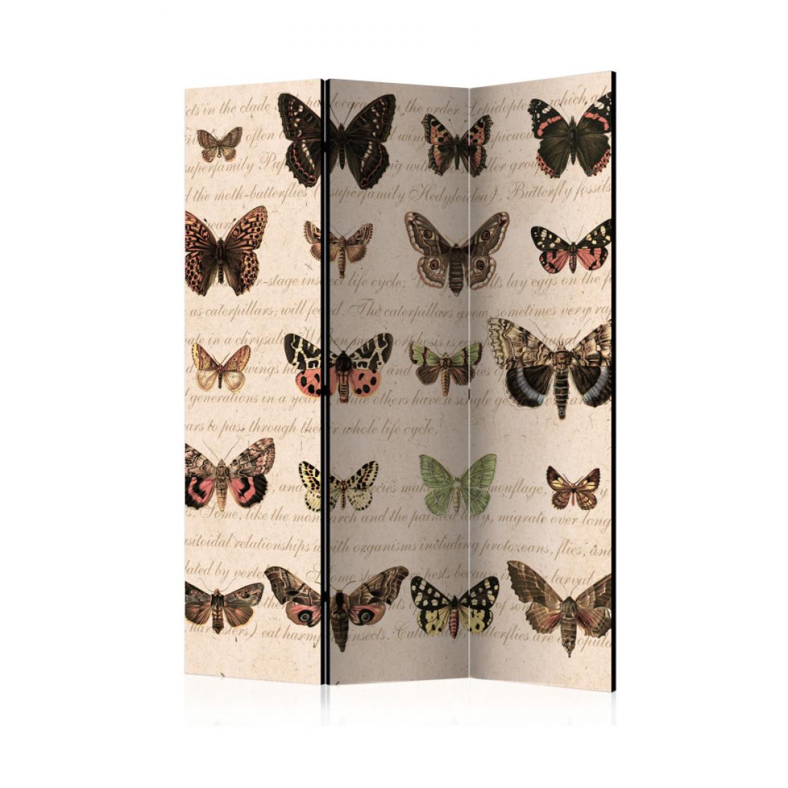 Artgeist - Paravent 3 volets - Retro Style: Butterflies [Room Dividers] 135x172 - Paravents