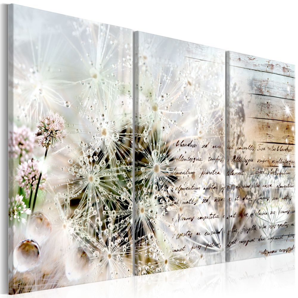 Bimago - Tableau - Starry Dandelions I - Décoration, image, art | Abstraction | Fleurs et plantes | - Tableaux, peintures