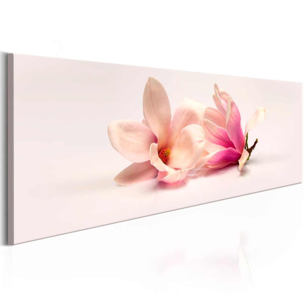 Bimago - Tableau - Beautiful Magnolias - Décoration, image, art | Fleurs | Magnolias | - Tableaux, peintures