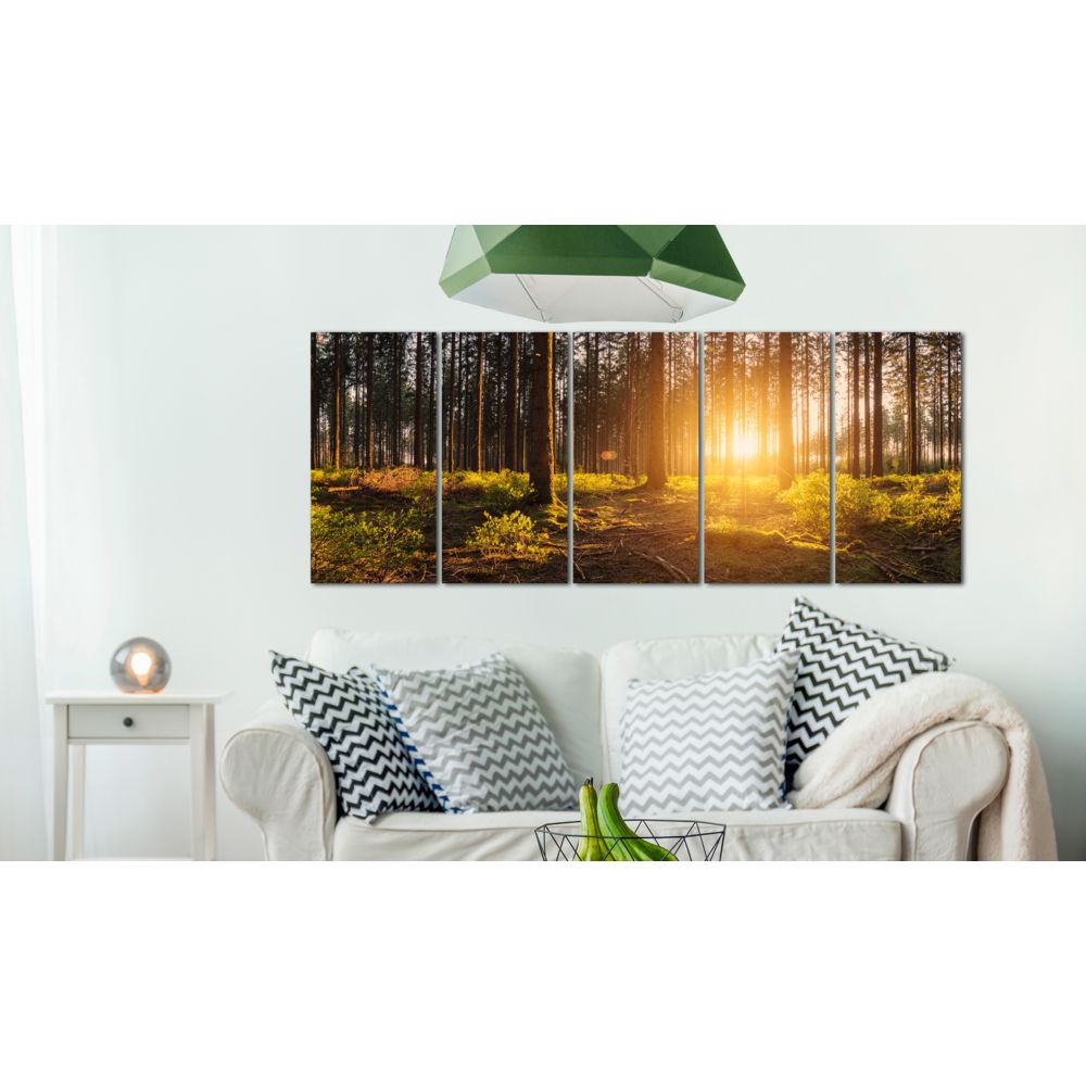marque generique - 225x90 Tableau Forêt Paysages Superbe Summer Morning - Tableaux, peintures