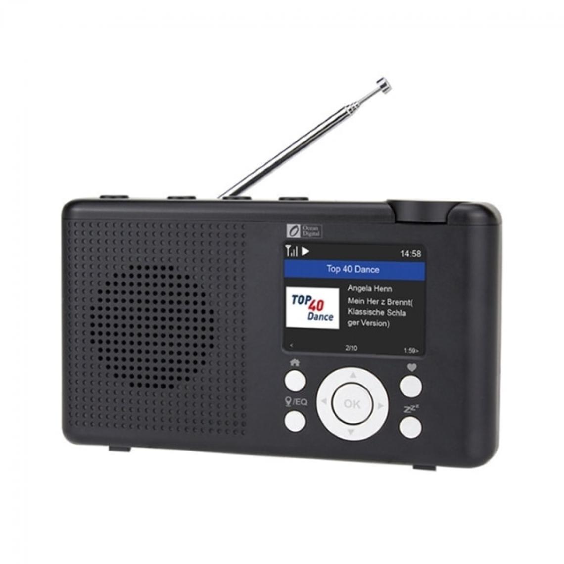 Universal - Portable WiFi Internet Radio Bluetooth Haut-parleur Multifonction FM Radio numérique Dan + avec batterie | Radio(Le noir) - Radio