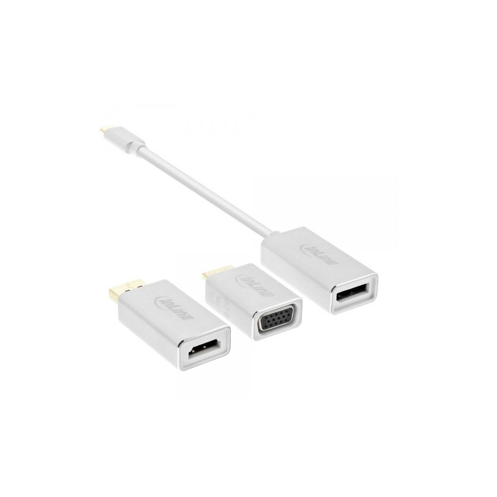 Alpexe - Convertisseur d'affichage USB InLine®, 6-en-1, USB Type-C mâle vers DisplayPort femelle, HDMI, VGA (mode alternatif DP), 4K2K, a - Accessoires Carte Graphique