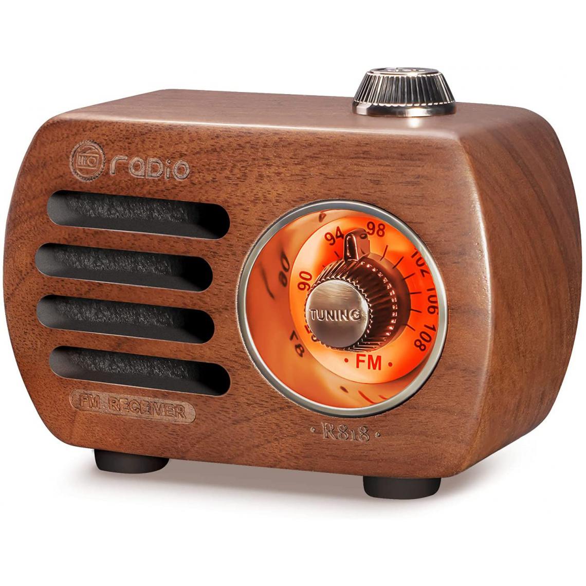 Prunus - radio portable FM bluetooth AUX marron - Radio