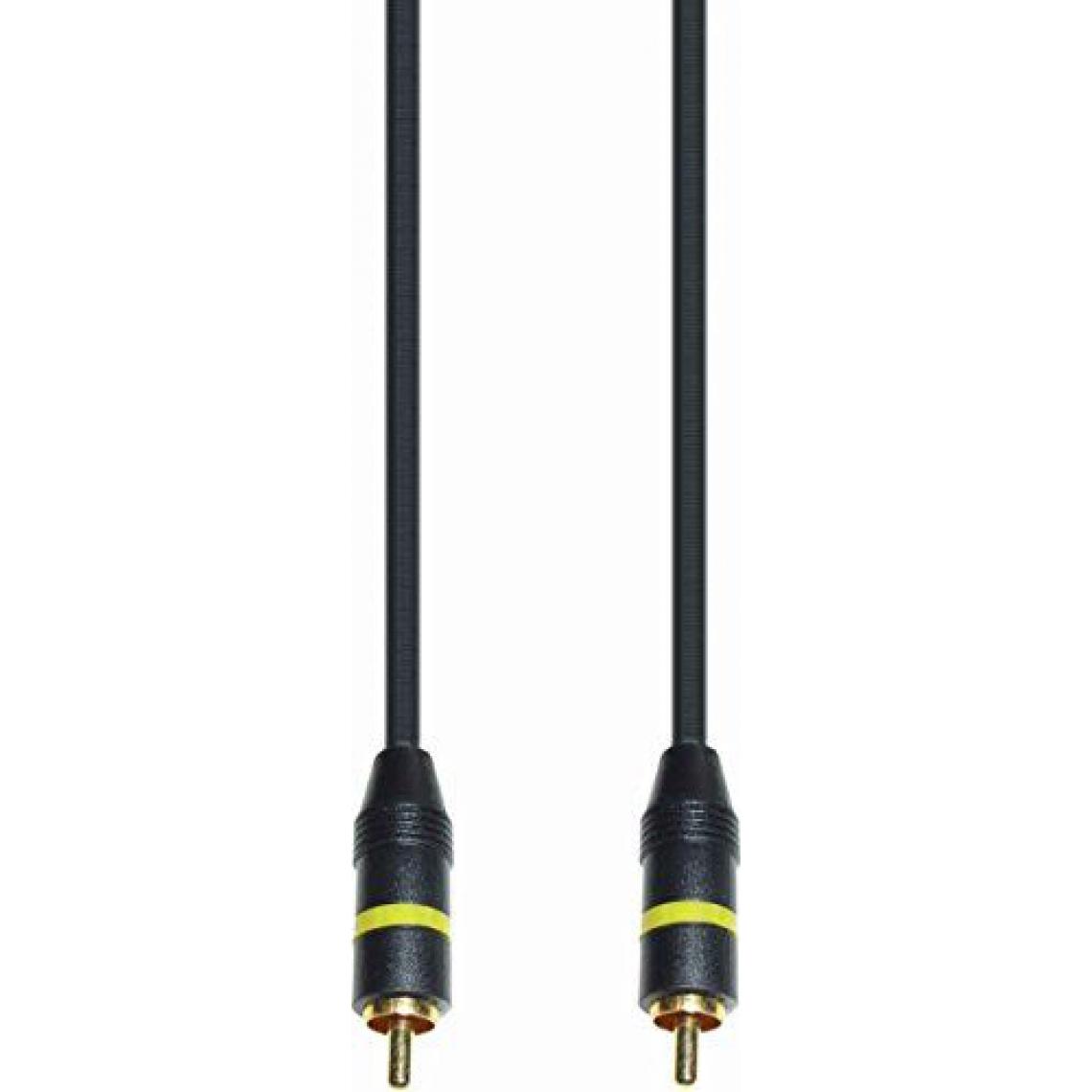 Epson - E PA / V câble RCA plug - fiche RCA 10m Import Allemagne - Câble antenne