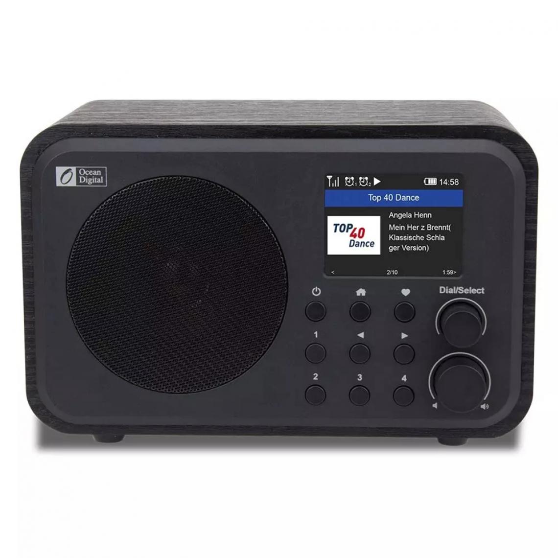 Universal - Capteurs numériques Internet Radio Internet Radio WiFi Alarme température humidité Capteur pression WiFi Alarme Tuya |(Le noir) - Radio
