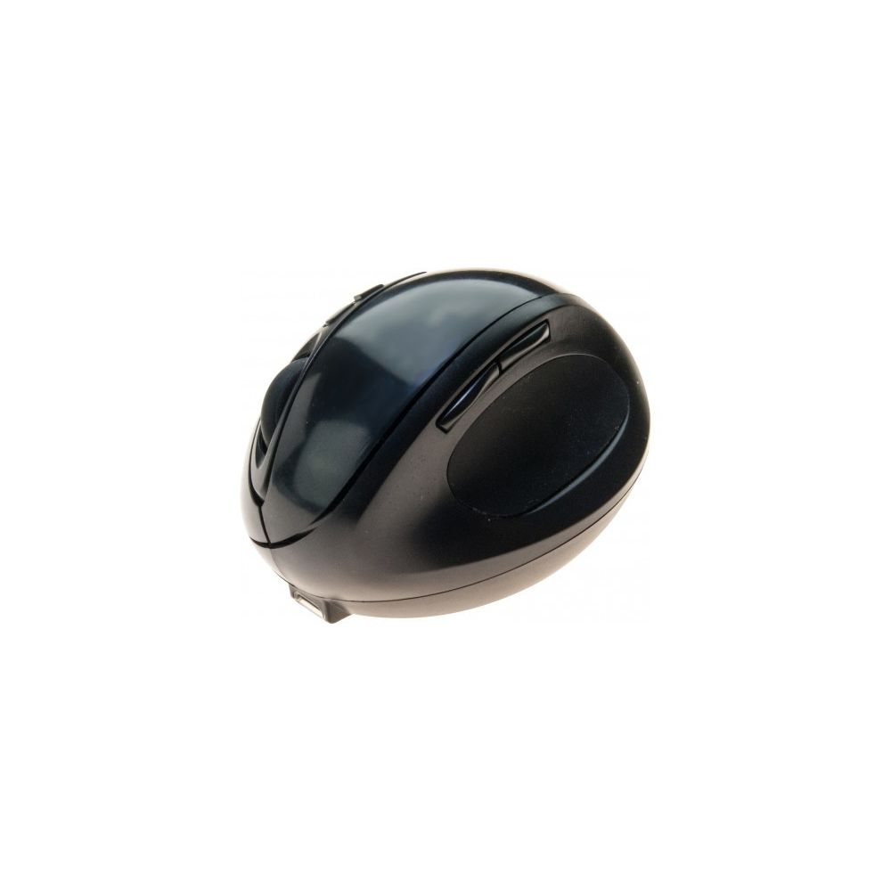 Abi Diffusion - Souris ergonomique sans fil nano USB rechargeable noire - Souris