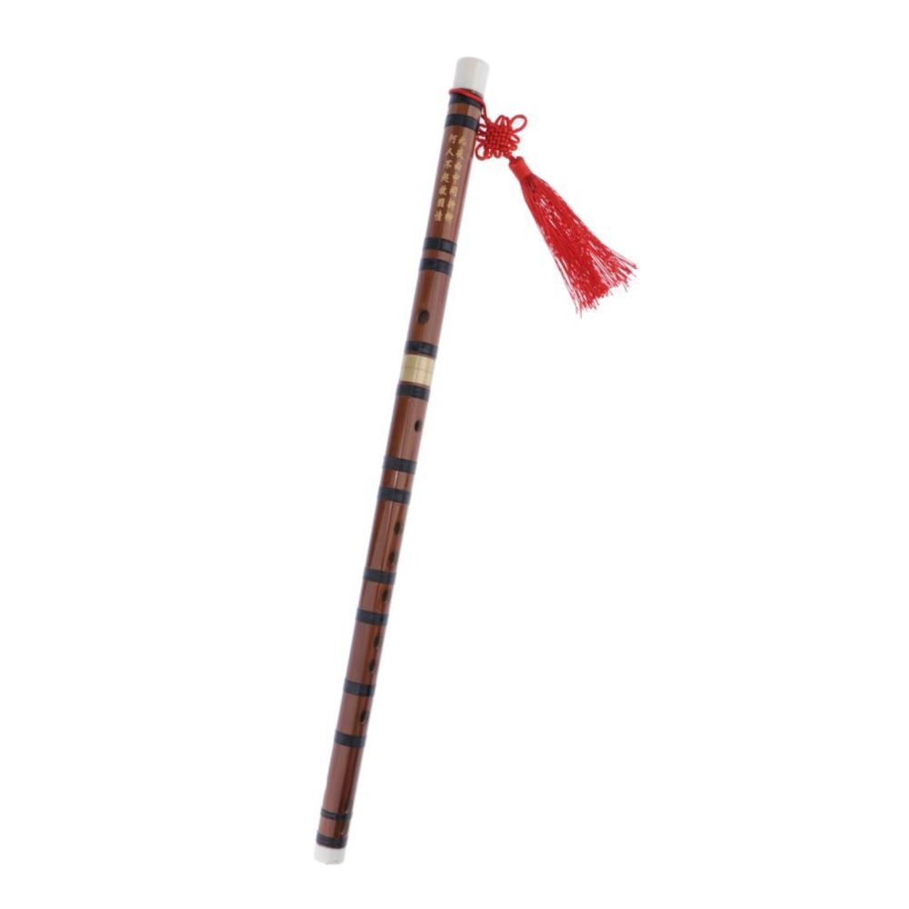 marque generique - flûte en bambou chinois professionnel dizi instrument à vent d clé - Flûtes traversières