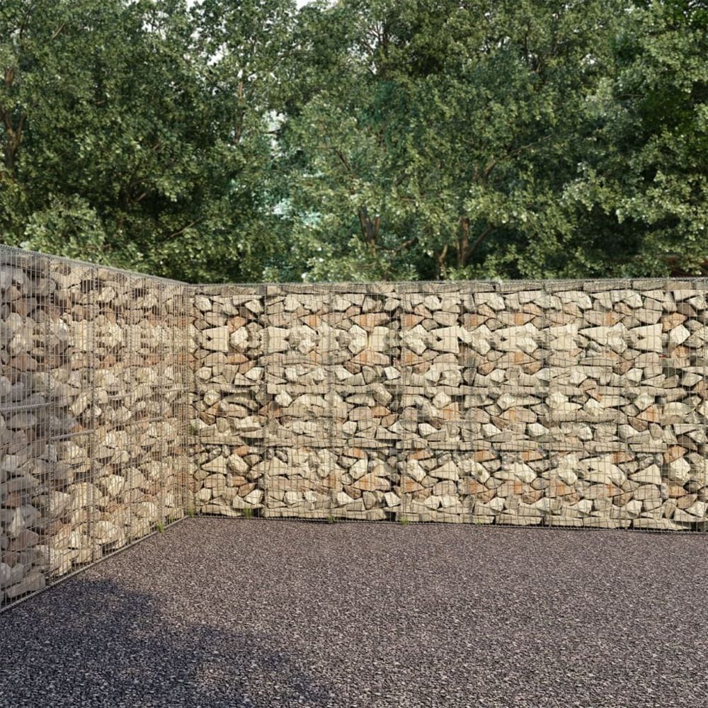 Vidaxl - vidaXL Mur à gabion avec couvercles Acier galvanisé 900 x 50 x 200 cm - Panneaux et treillis
