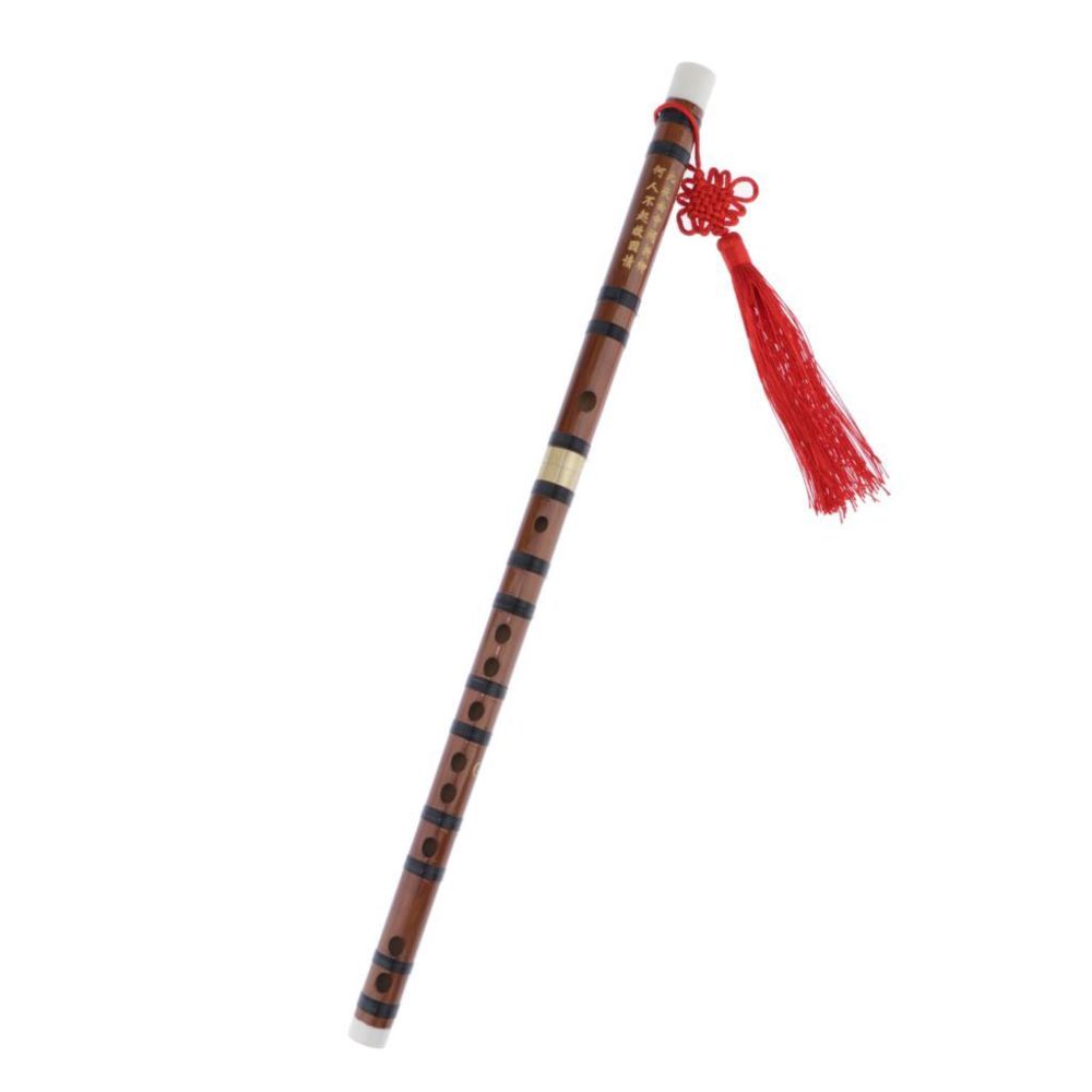 marque generique - flûte en bambou chinois professionnel dizi instrument à vent g clé - Flûtes traversières