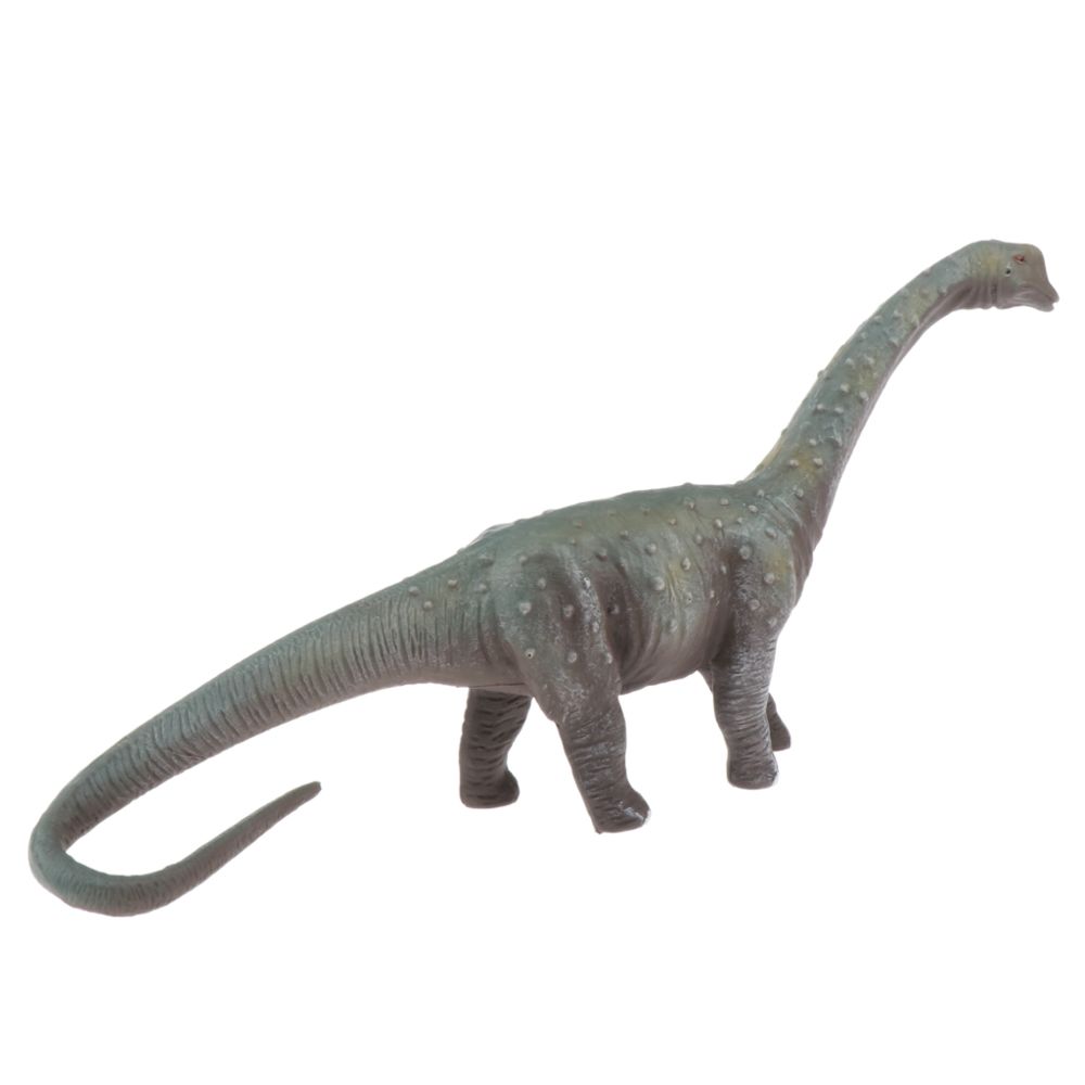 marque generique - Différent modèle de dinosaure ornement figure jurassique réaliste modèle de dinosaure E - Jeux éducatifs