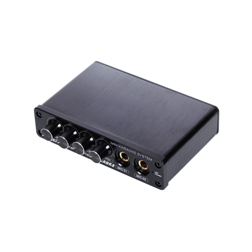 Wewoo - Ampli noir pour PC / TV / Téléphones Mobiles, RCA dans / 2 Canal Mic Mini Karaoké Système Sound Mixer Amplificateur - Ampli