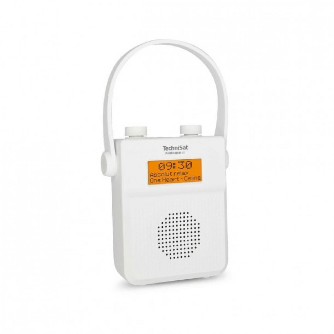 Technisat - Radio Bluetooth portable TechniSat DIGITRADIO 30 2W (Reconditionné D) - Radio
