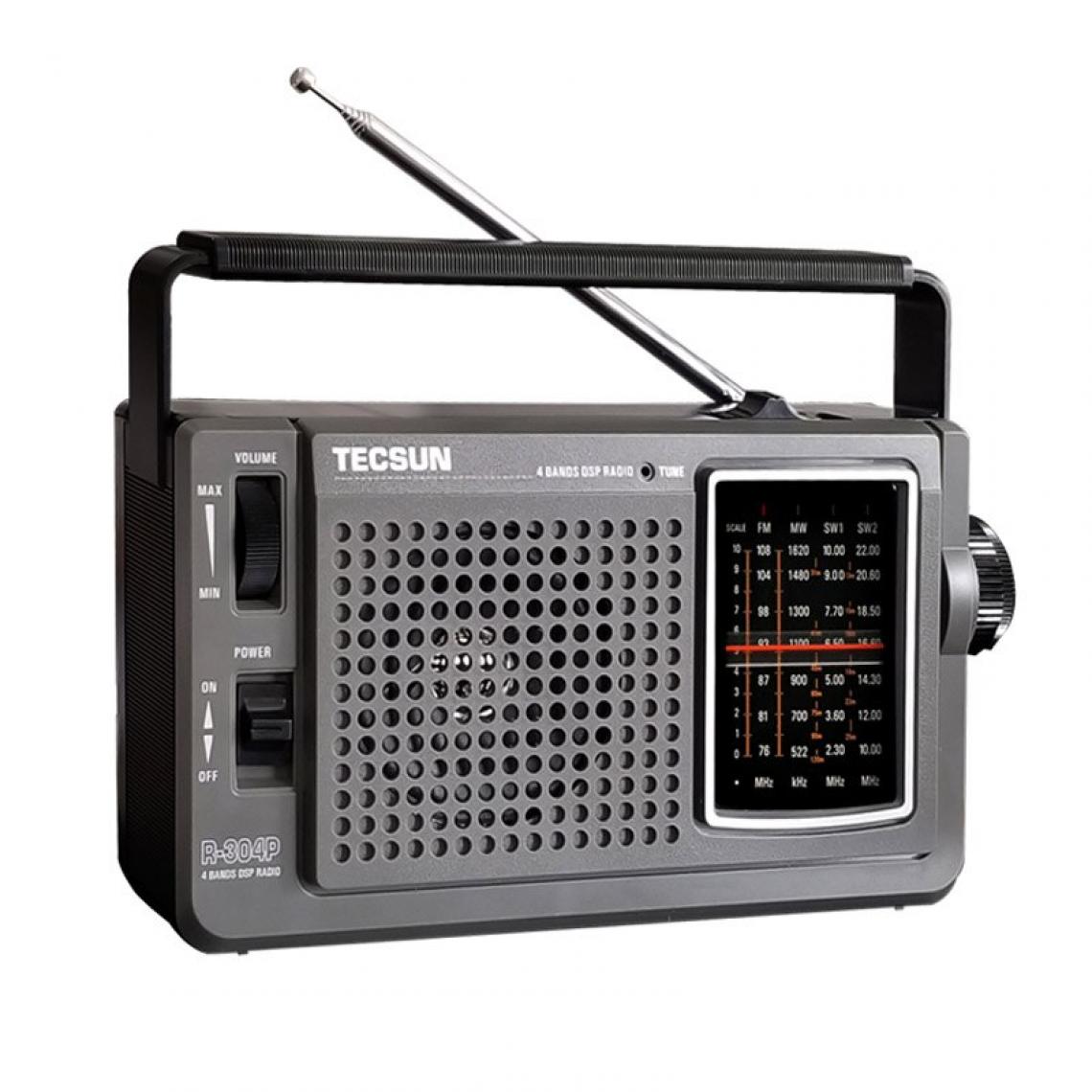 Universal - Radio DSP Récepteur radio portable Radio FM Radio haute sensibilité(Le noir) - Radio