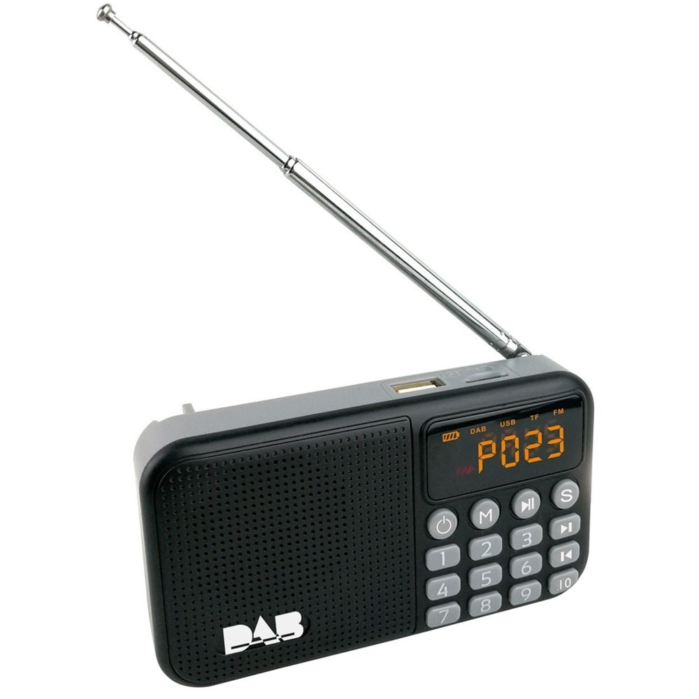 Wewoo - Radio numérique DAB multifonctionnelle portable DAB-P8prise en charge BluetoothMP3 - Radio