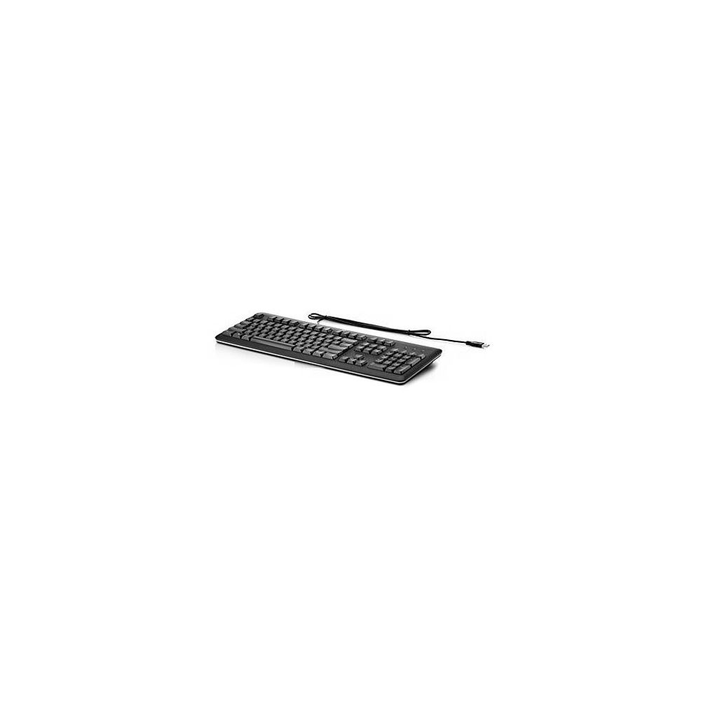Hp - HP USB Standard Keyboard Noir, Argent - Clavier