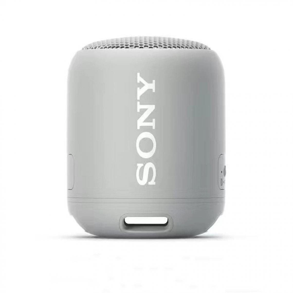 Chrono - Sony Enceinte Bluetooth® sans fil étanche compacte et portable avec EXTRA BASS(Gris) - Enceintes Hifi