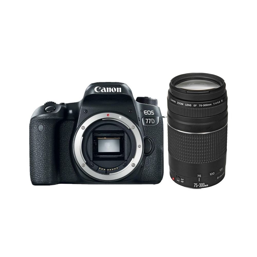 Canon - CANON EOS 77D + EF 75-300mm III - Reflex Grand Public