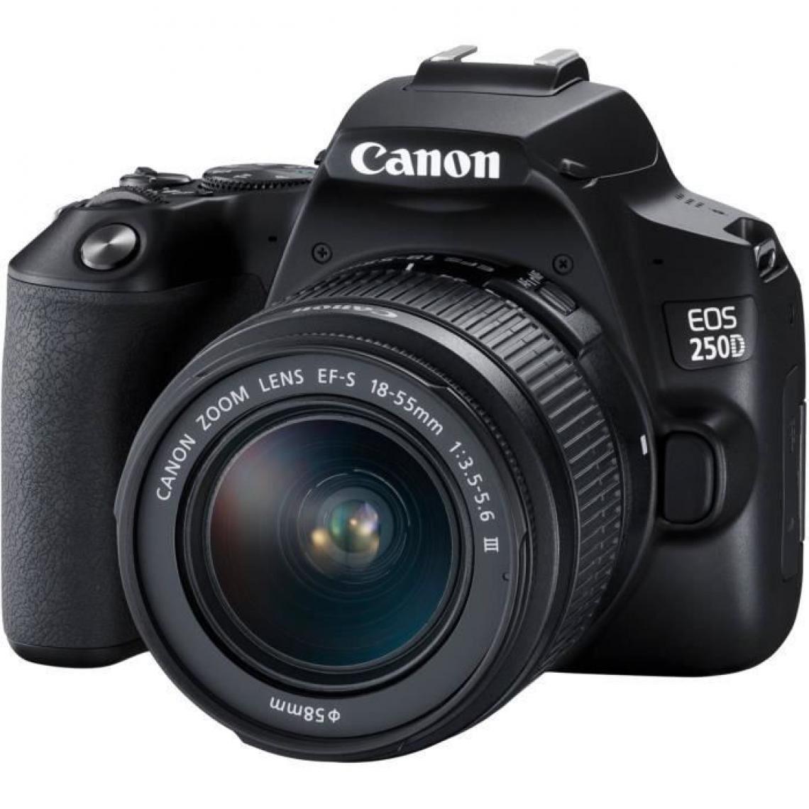 Canon - Appareil photo numérique reflex EOS 250D Noir EF-S 18-55 IS STM - Reflex Grand Public