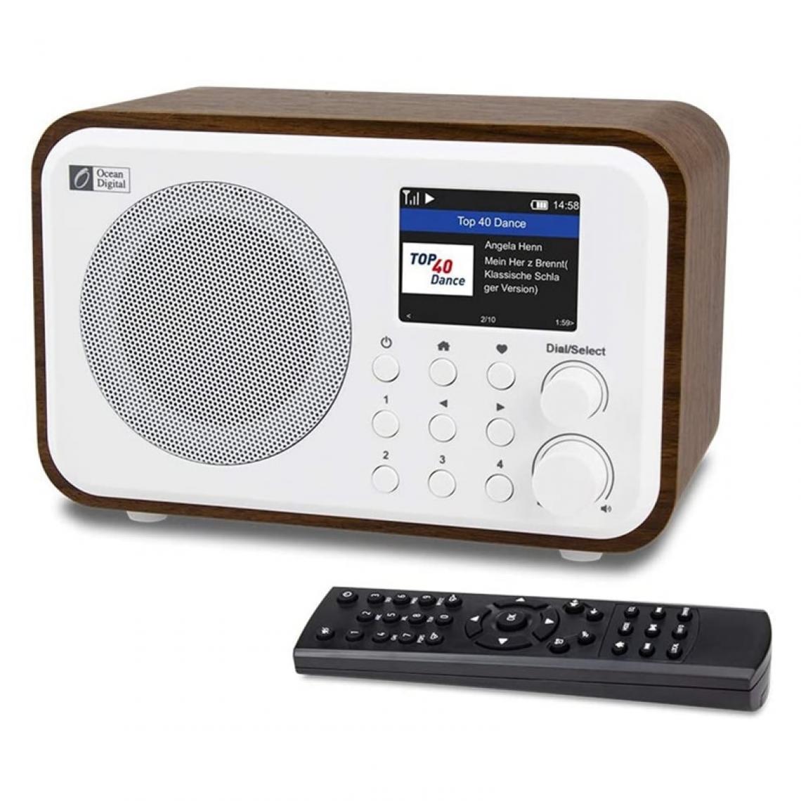 Universal - Récepteur radio Internet WiFi WR 336N Radio numérique portable avec batterie rechargeable Récepteur Bluetooth - Radio