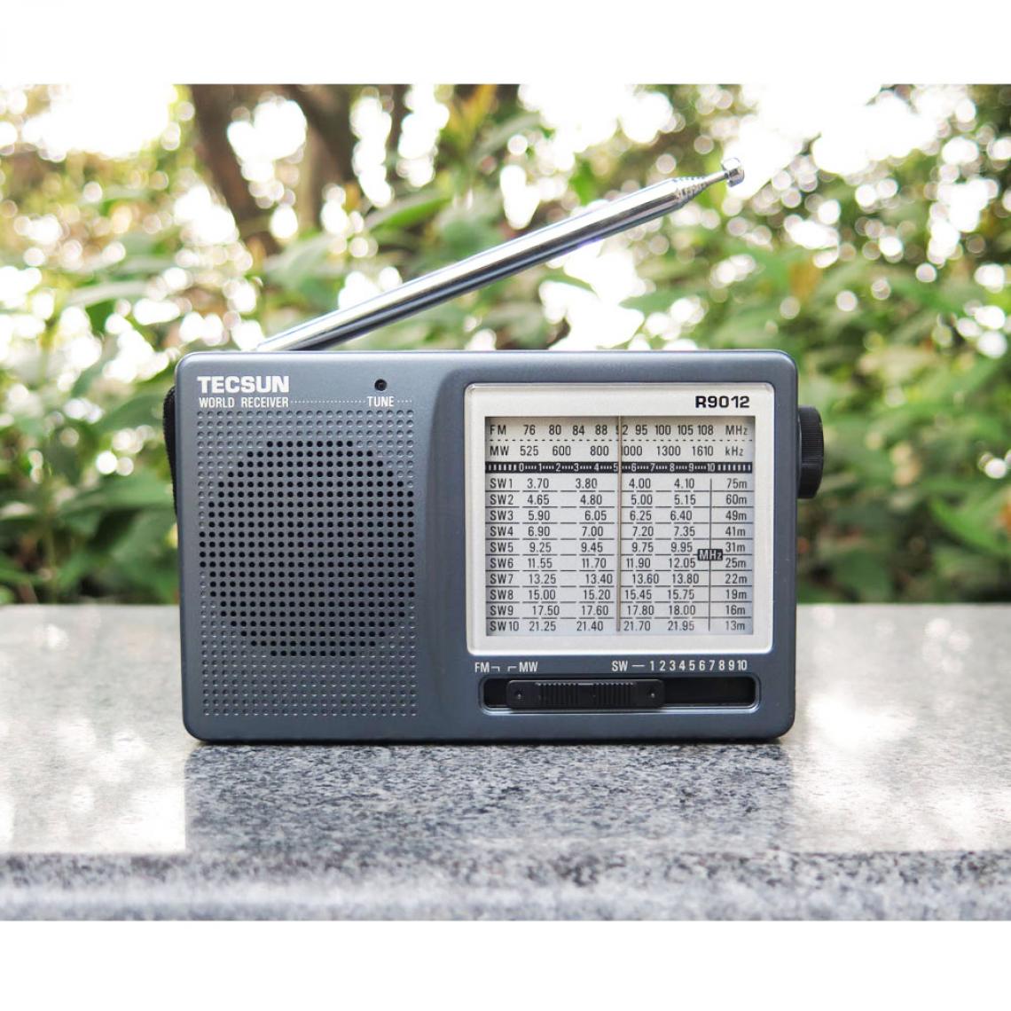Universal - Récepteur radio FM/AM/SW 12 à haute sensibilité avec poche portative(Le noir) - Radio