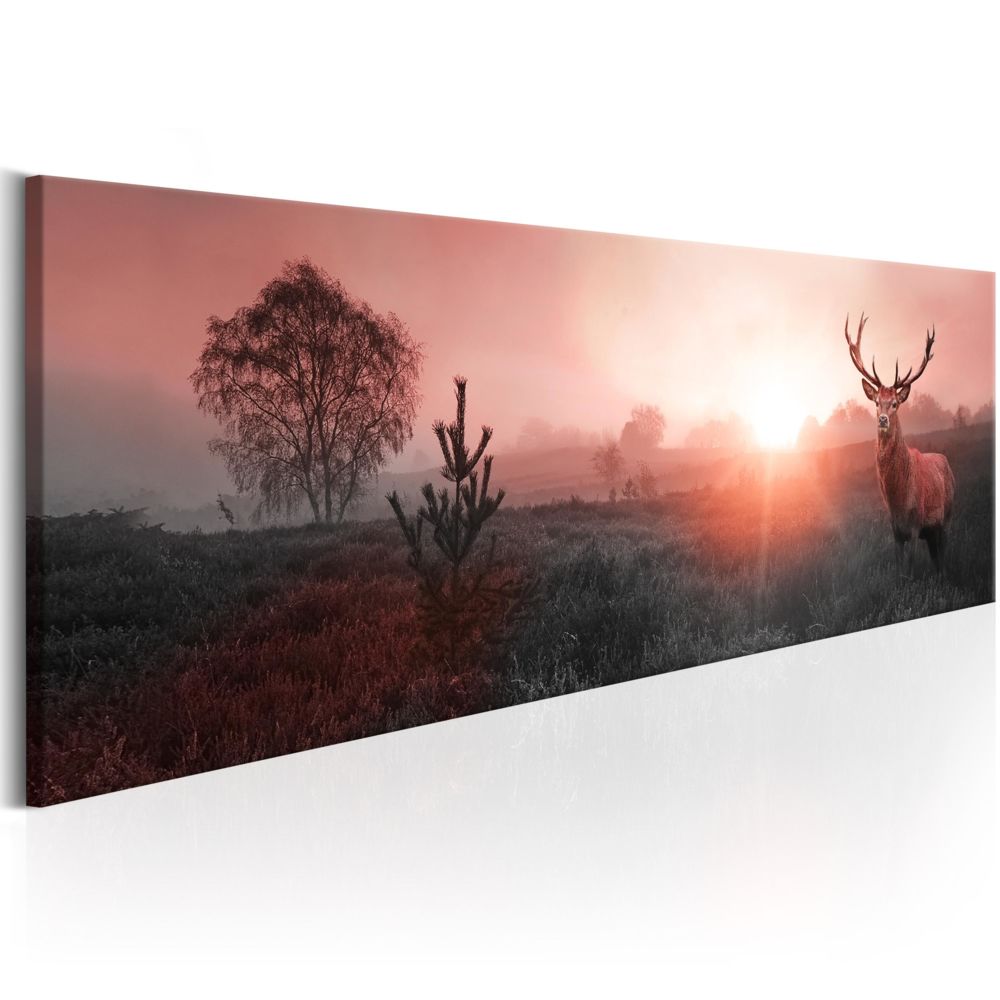 Bimago - Tableau | Sun on the Horizon | 150x50 | XL | Animaux | Animaux divers | | - Tableaux, peintures