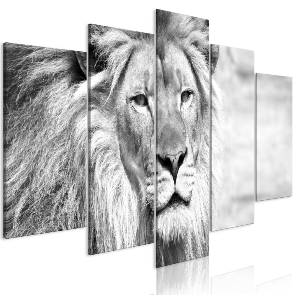Bimago - Tableau - The King of Beasts (5 Parts) Wide Black and White - Décoration, image, art | Animaux | Chats | - Tableaux, peintures