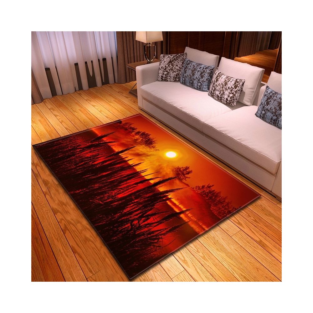 Wewoo - 99.1x152.4cm tapis de plancher de vue de coucher de soleil moderne de maison à la D190111-M034 - Tapis