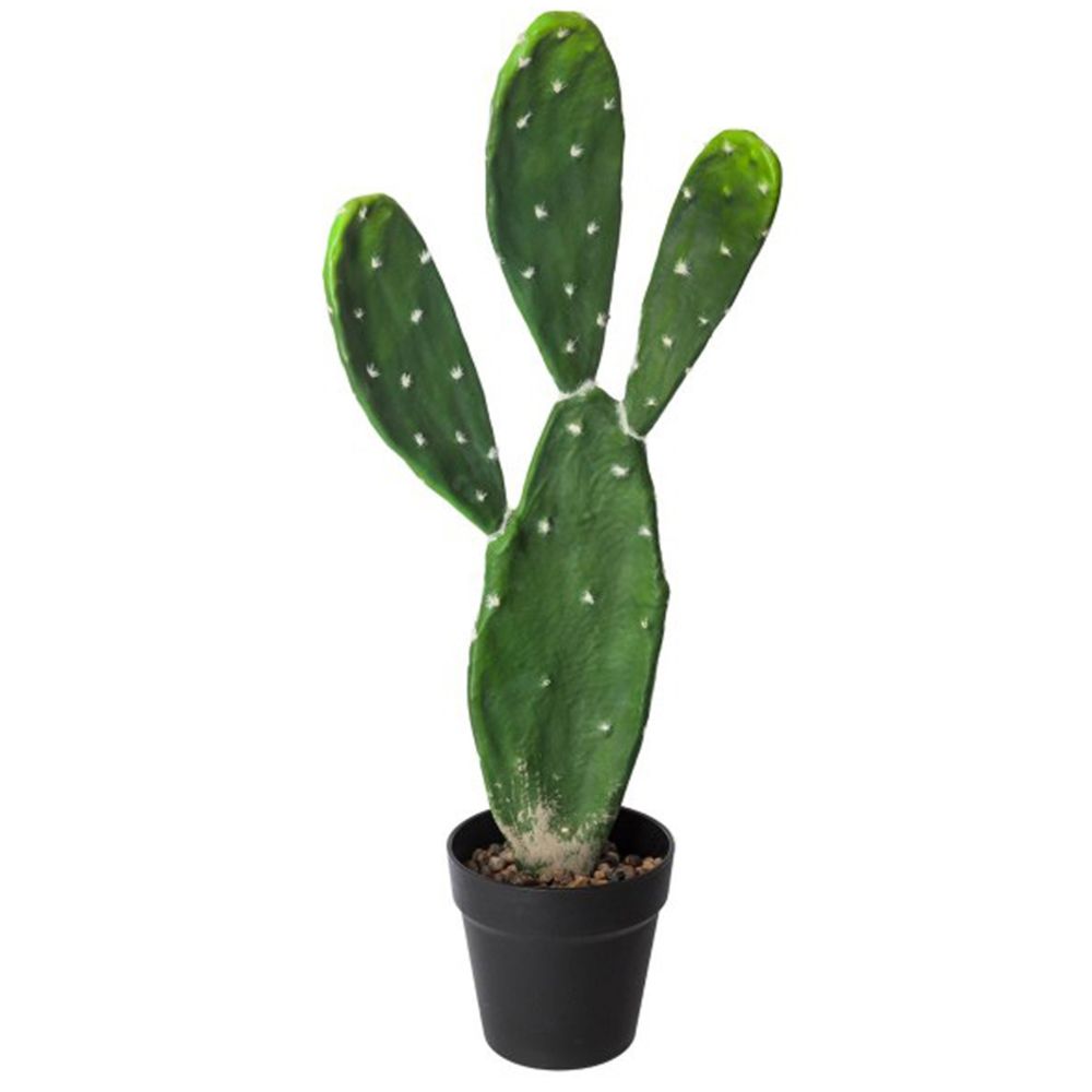 Pegane - Plante artificielle cactus en polyéthylène, vert - Hauteur : 60 cm -PEGANE- - Plantes et fleurs artificielles