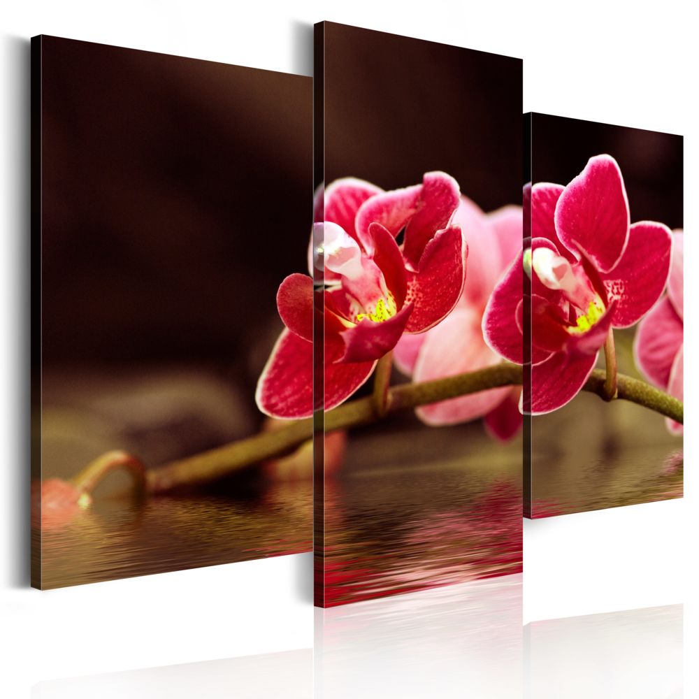 Bimago - Tableau | Orchidée au lac | 60x50 | Fleurs | Orchidées | - Tableaux, peintures