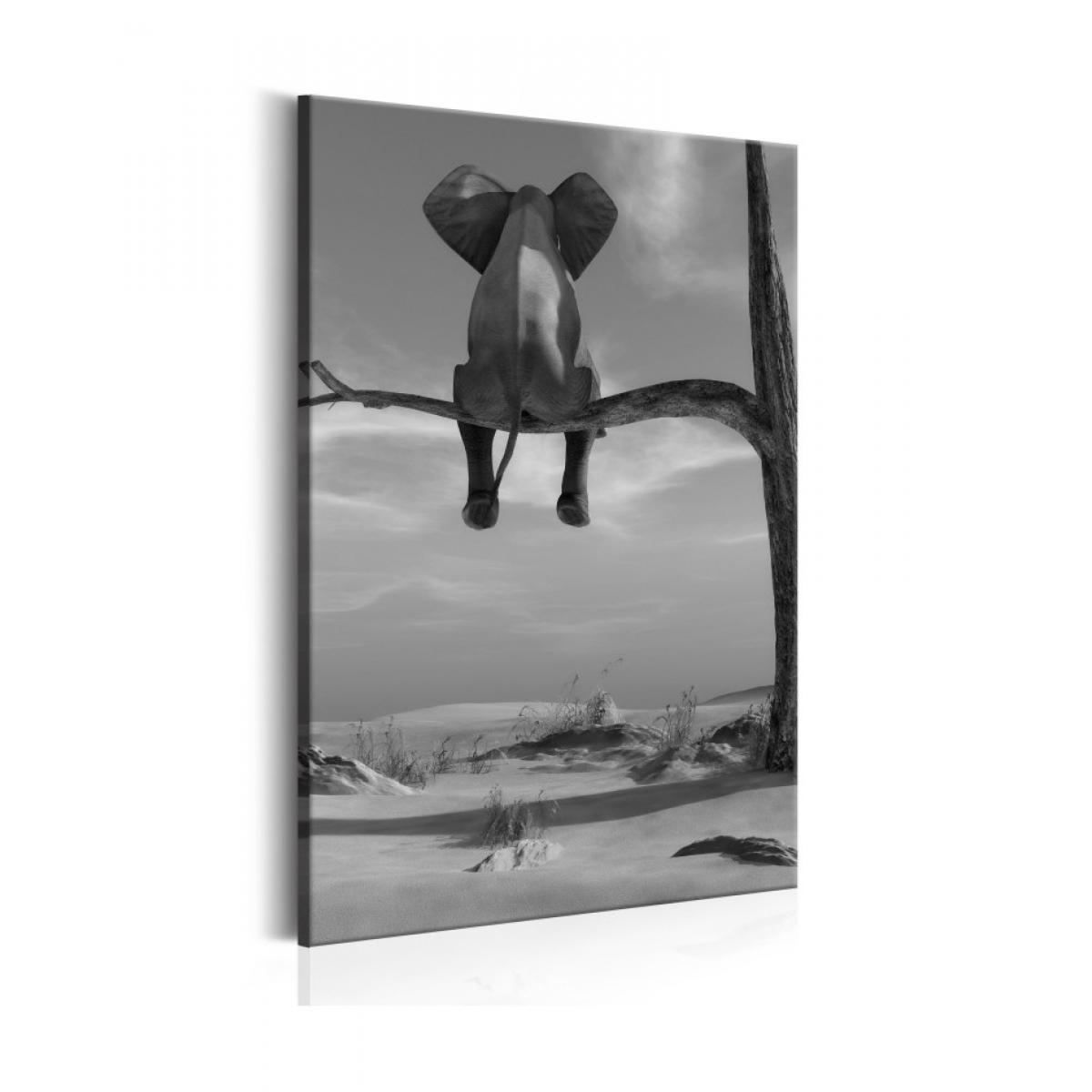 Artgeist - Tableau - Resting Elephant 80x120 - Tableaux, peintures