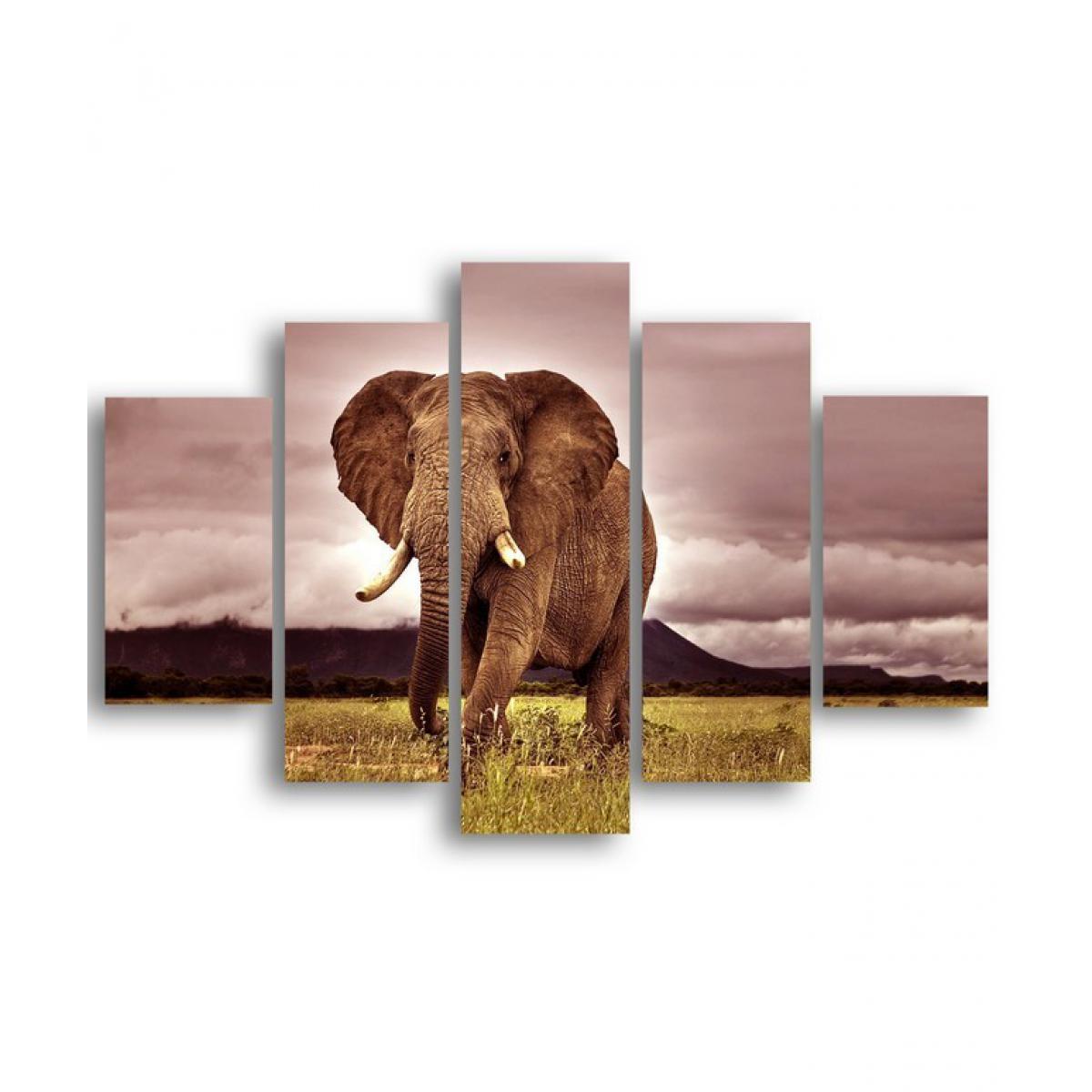 Homemania - HOMEMANIA Tableau De Wall - 5 pièces - Animaux, éléphant - par salon, chambre - Multicouleur en MDF, 95 x 0,3 x 60 cm - Tableaux, peintures