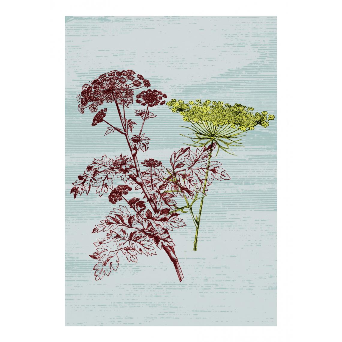 Beneffito - BOTANICAL - Signature Poster - Parsley - 21x30 cm - Affiches, posters