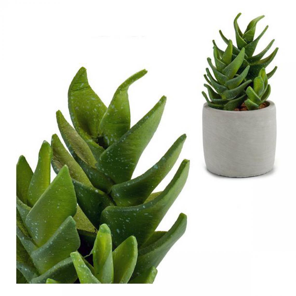 Unknown - Cactus Plastique Cactus (10,5 x 21 x 10,5cm) - Plantes et fleurs artificielles