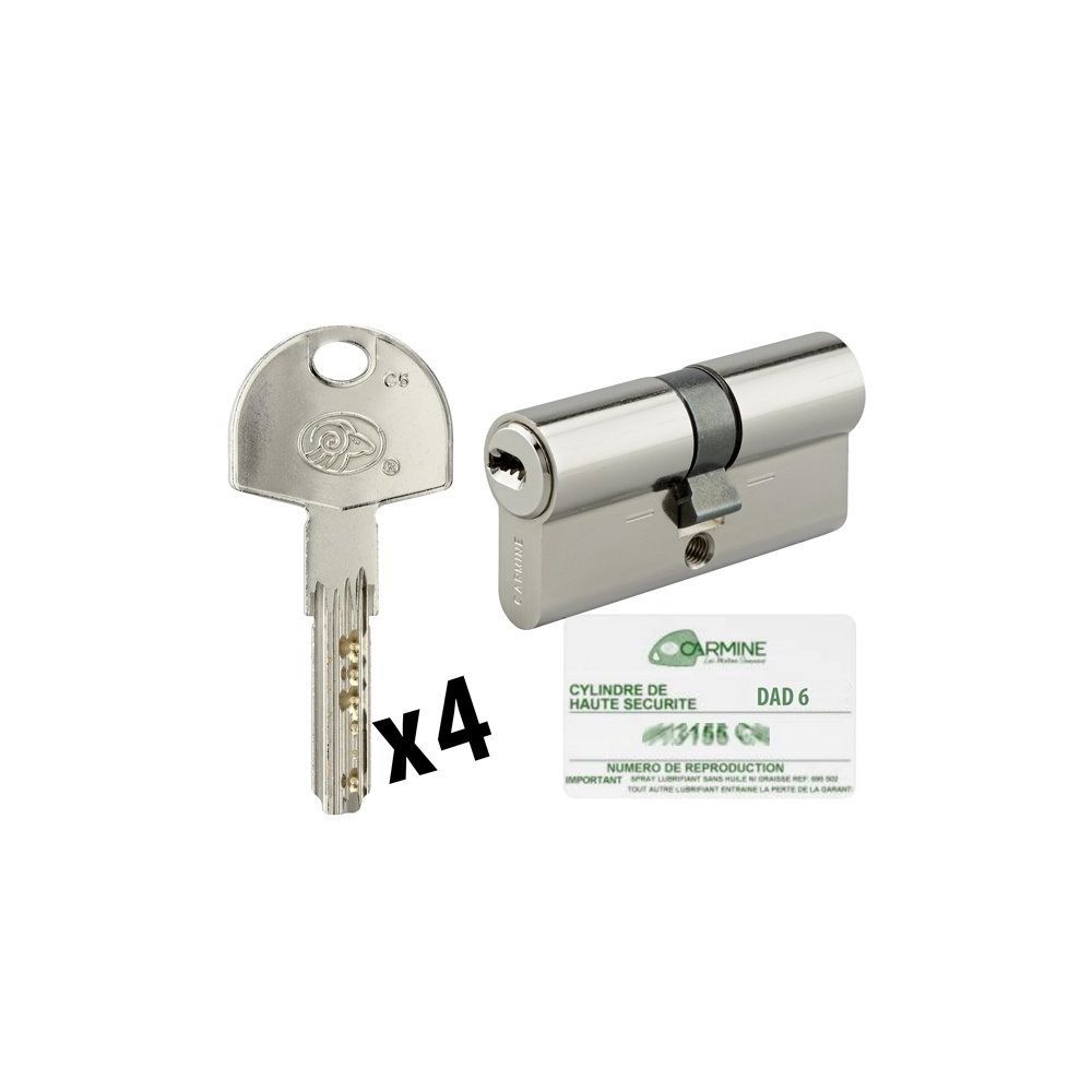 Bricorama - Cylindre de porte 35 x 35 mm Barillet debrayable avec 4 clés et carte de reproduction - Cylindre de porte