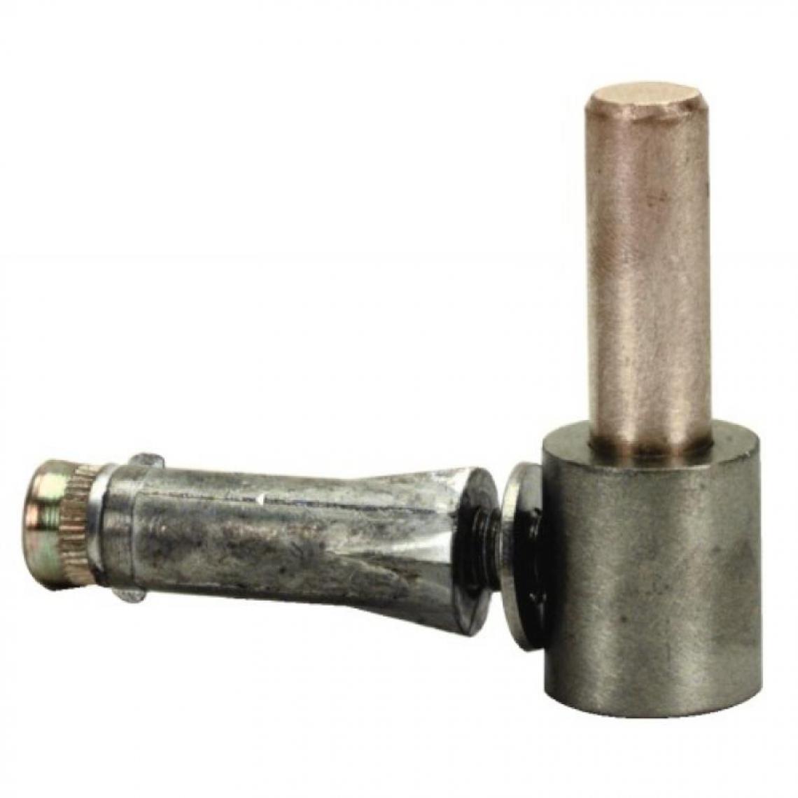 Torbel Industrie - Gond à vis métaux Inox 316 avec cheville axe Ø 16 - Charnière de fenetre