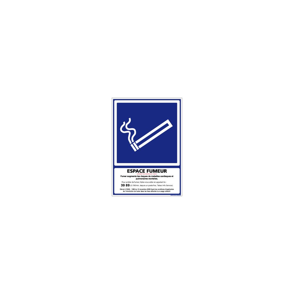 Signaletique Biz - Adhésif Espace Fumeur Officiel - Dimensions 150 x 210 mm - Protection anti-UV - Extincteur & signalétique