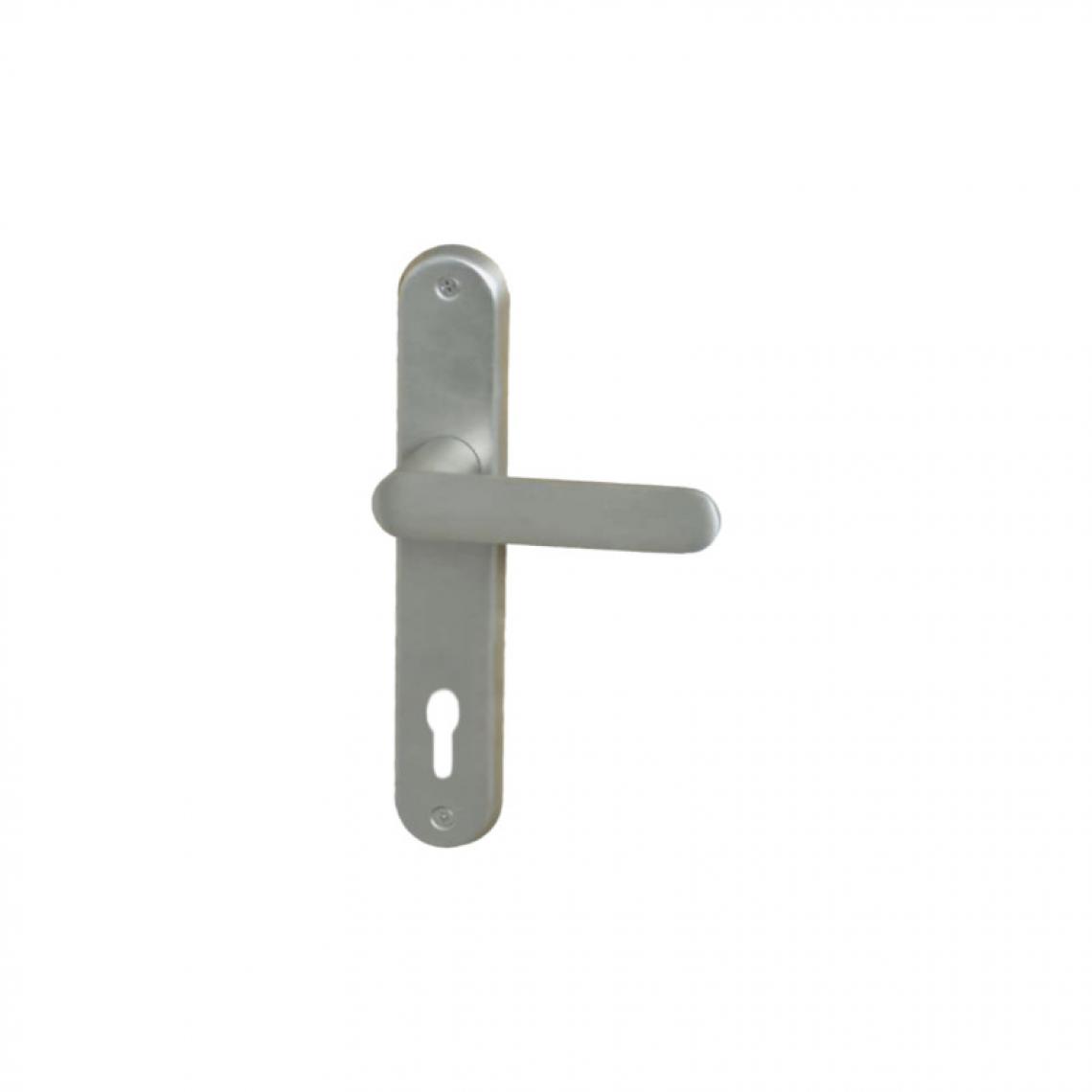 Divers Marques - Poignée de porte sur plaque à clé classique modèle Daphné - Nickelé Satiné - Poignée de porte