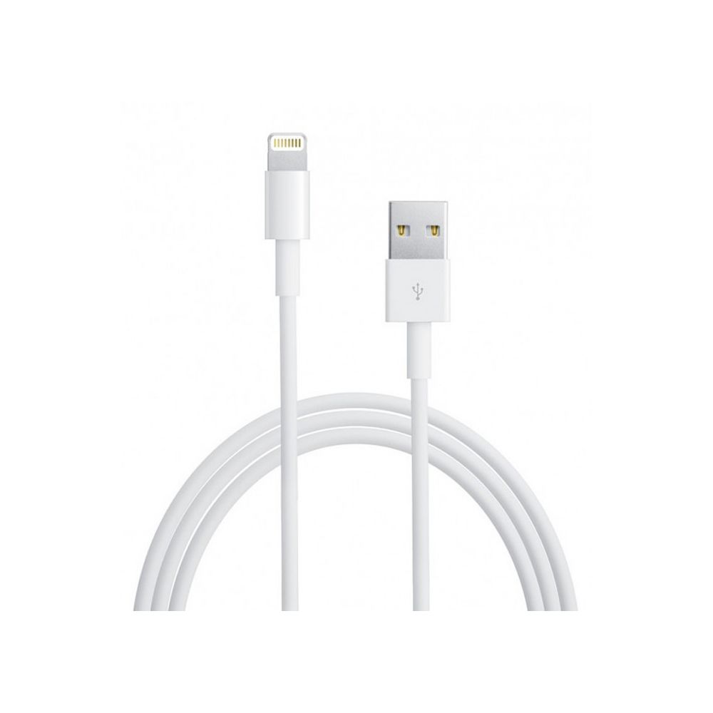 Apple - Câble APPLE lightning Data-USB 1m MD818ZMA - Autres accessoires smartphone