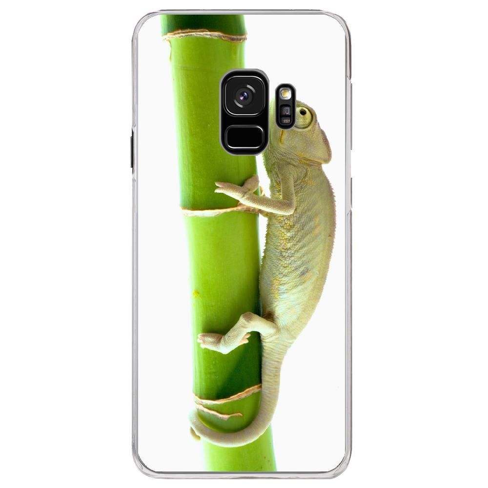 Kabiloo - Coque rigide transparente pour Samsung Galaxy S9 avec impression Motifs caméleon sur un bamboo - Coque, étui smartphone
