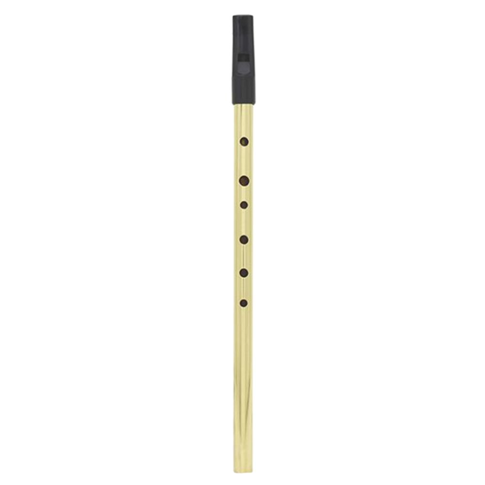 marque generique - Coupure d'étain en métal irlandais d flûte penny whistle six bois à bois partie dorée - Harmonica