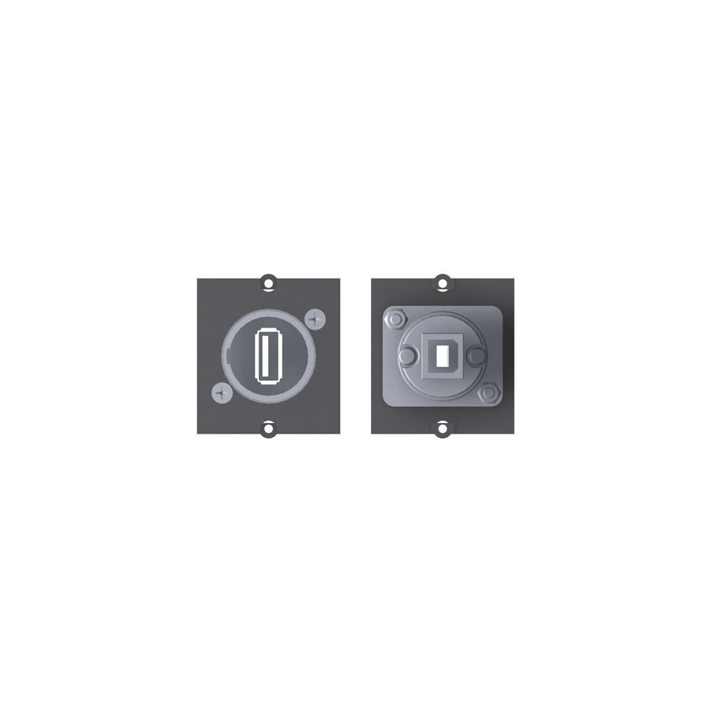 Bachmann - BACHMANN Plastron USB - accessoires cables meubles supports