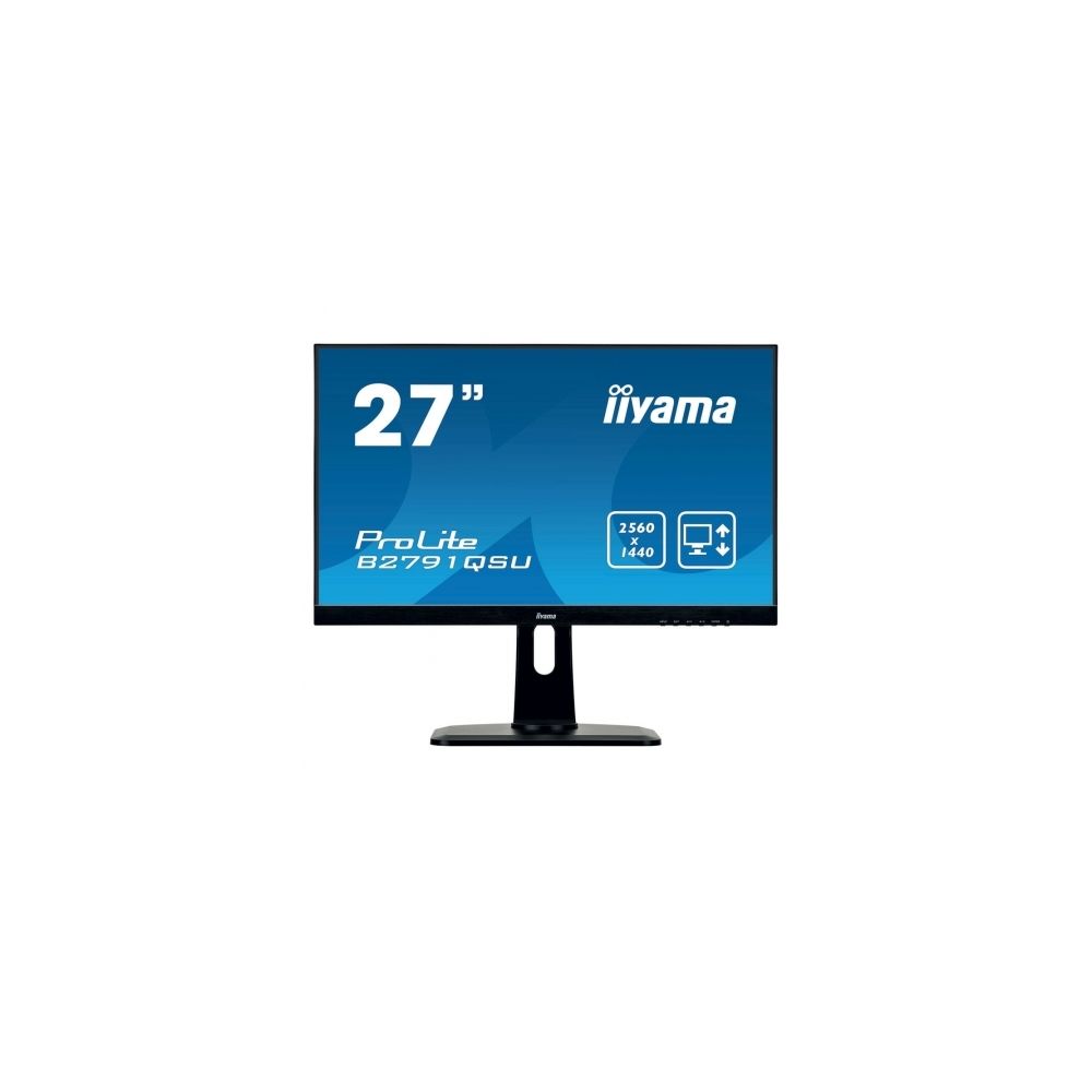 Iiyama - Ecran 25 pouces ProLite XUB2595WSU-B1 - Moniteur PC